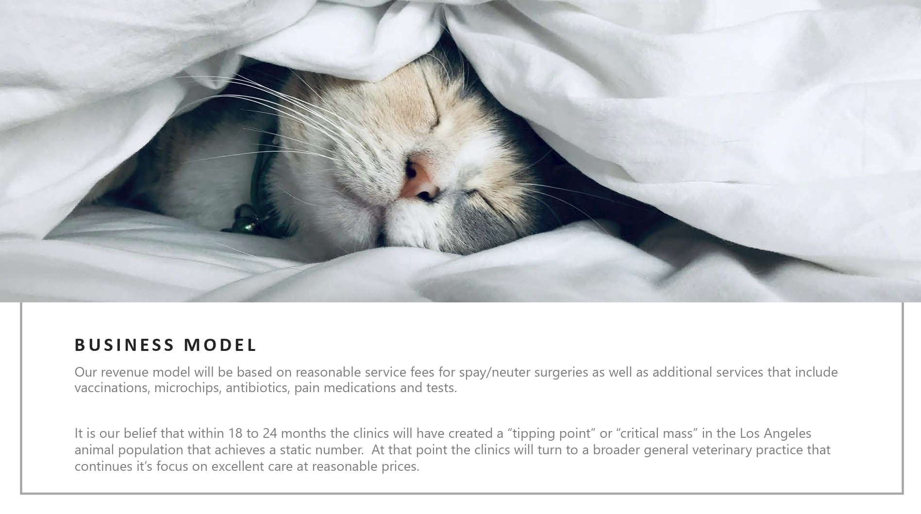 spay_la_business_model